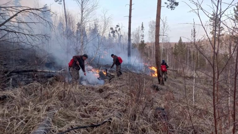 "Ценный выбор":  ограничения из-за угрозы лесных пожаров в Иркутской области